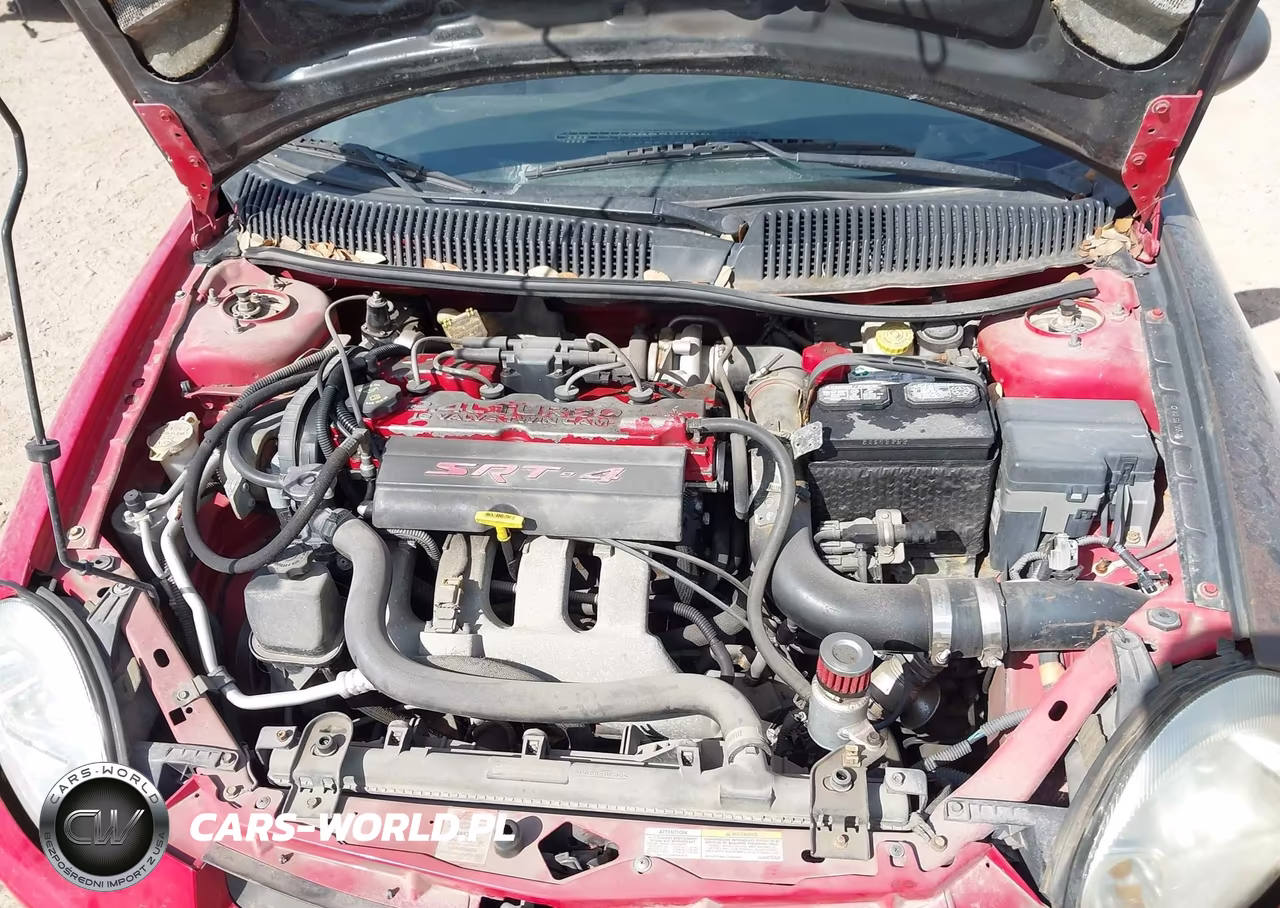 2004 Dodge Srt4 VIN:1B3AS66S04D616257 - 10