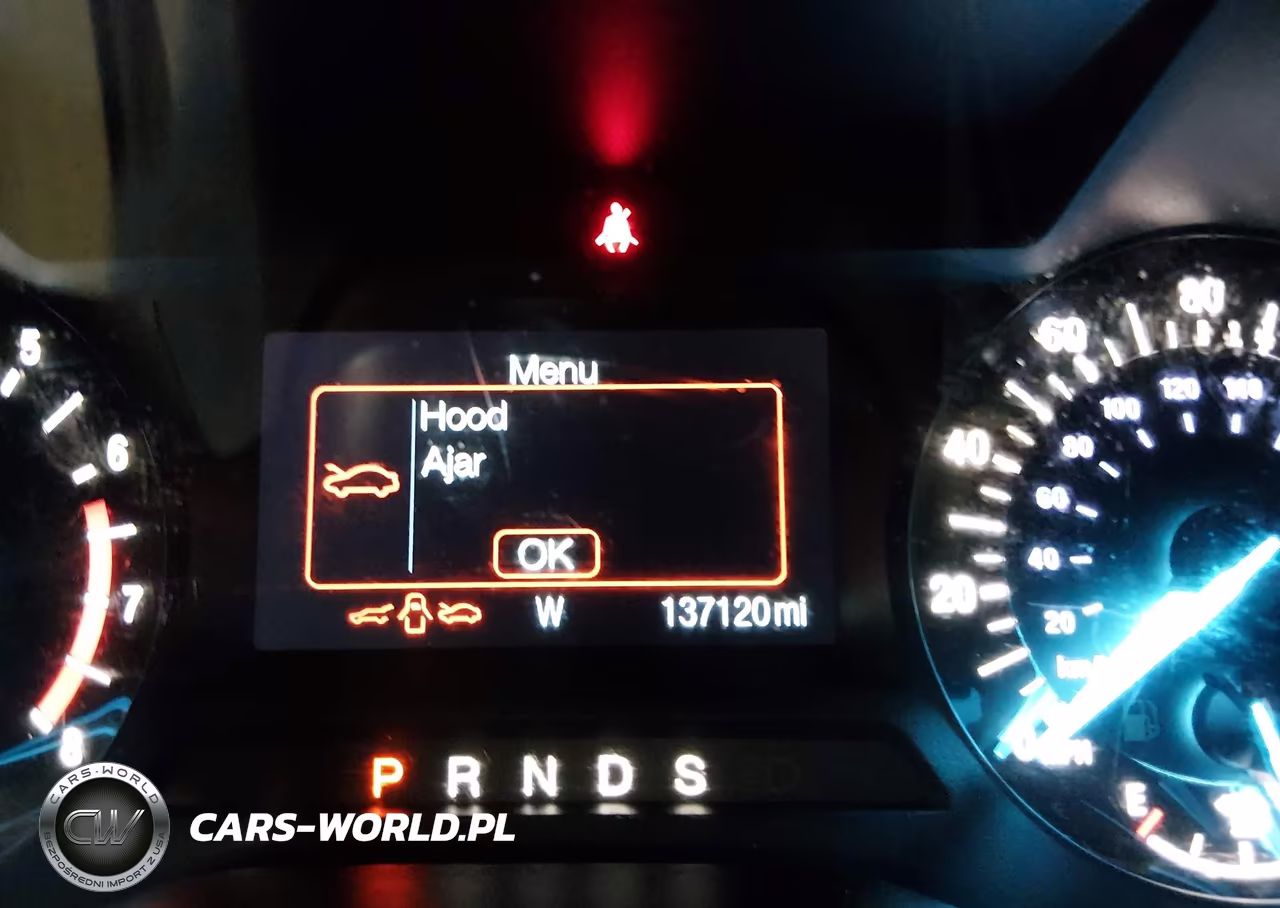 2016 Ford Edge Sel VIN:2FMPK4J86GBC57219 - 16