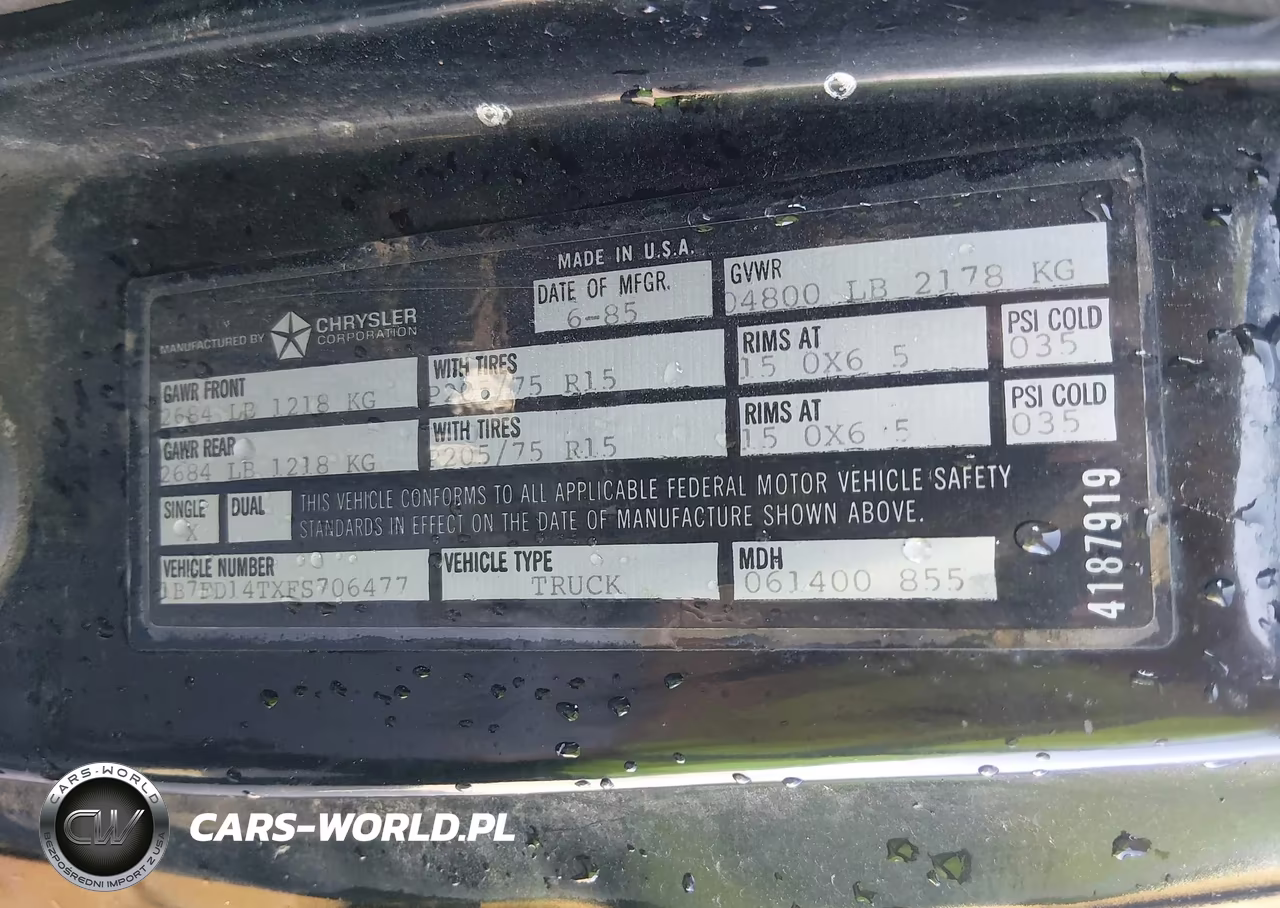 1985 Dodge D-Series D100-D150 VIN:1B7FD14TXFS706477 - 9