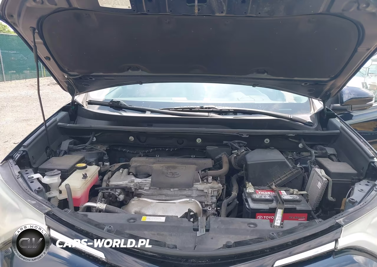 2017 Toyota Rav4 Xle VIN:2T3RFREV9HW679160 - 10