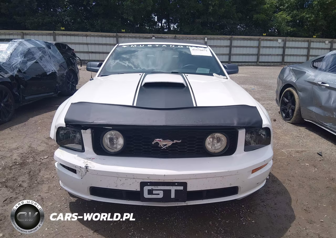 2008 Ford Mustang Gt Premium VIN:1ZVHT85H185117248 - 13