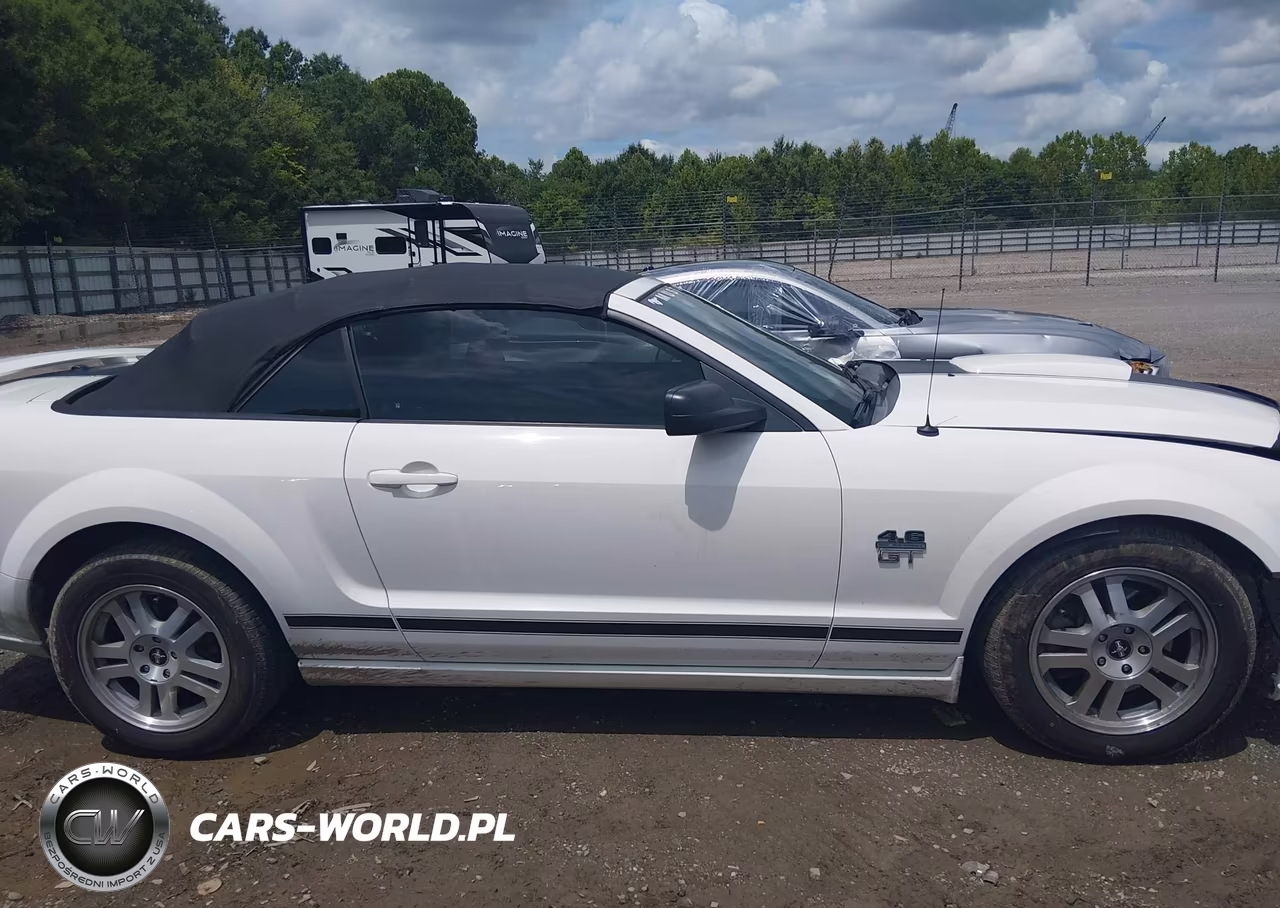 2008 Ford Mustang Gt Premium VIN:1ZVHT85H185117248 - 14
