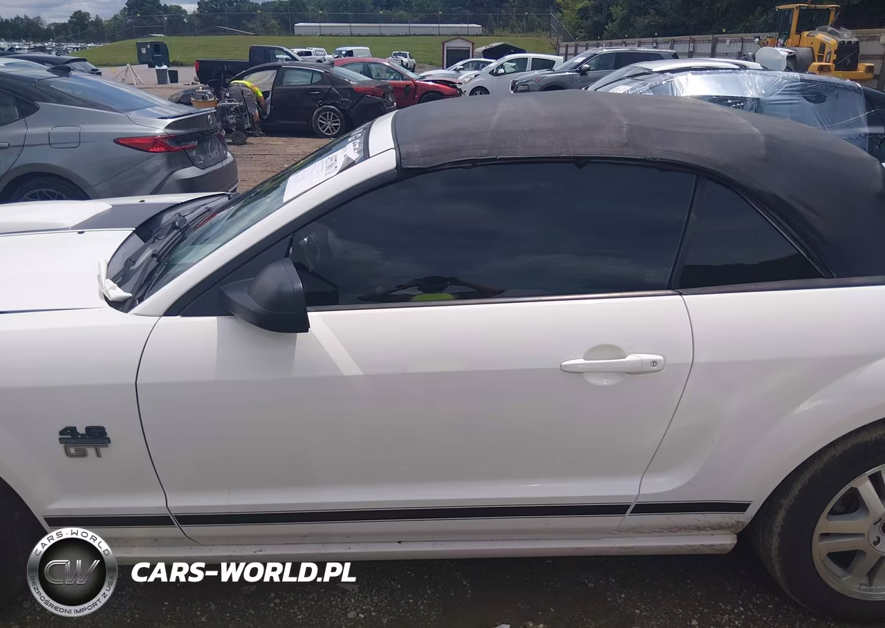 2008 Ford Mustang Gt Premium VIN:1ZVHT85H185117248 - 15