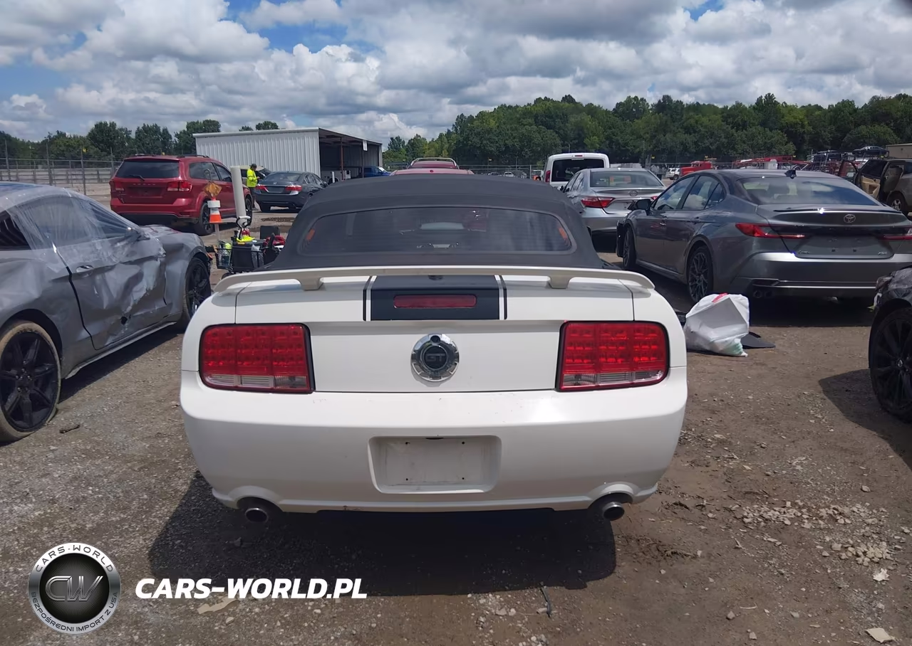 2008 Ford Mustang Gt Premium VIN:1ZVHT85H185117248 - 17