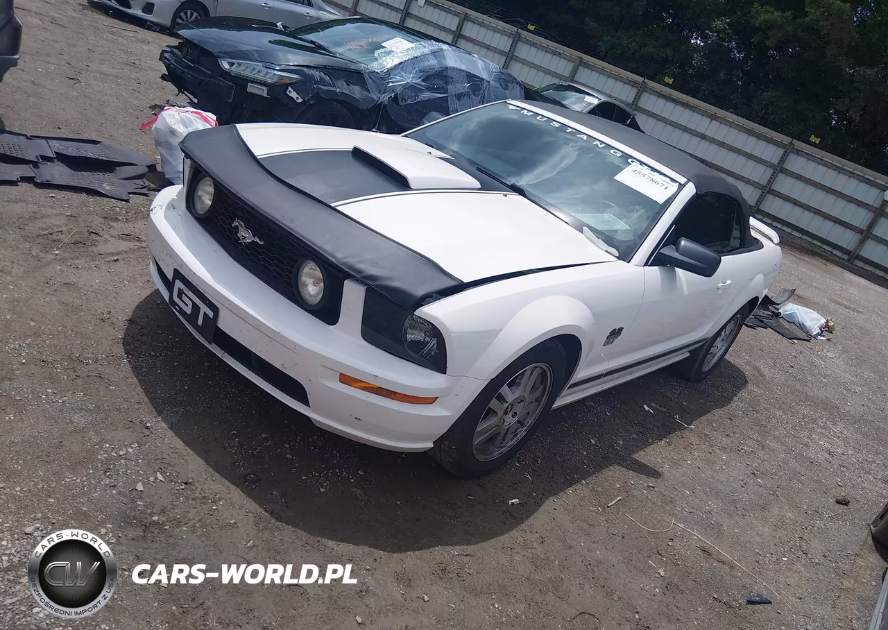 2008 Ford Mustang Gt Premium VIN:1ZVHT85H185117248 - 2