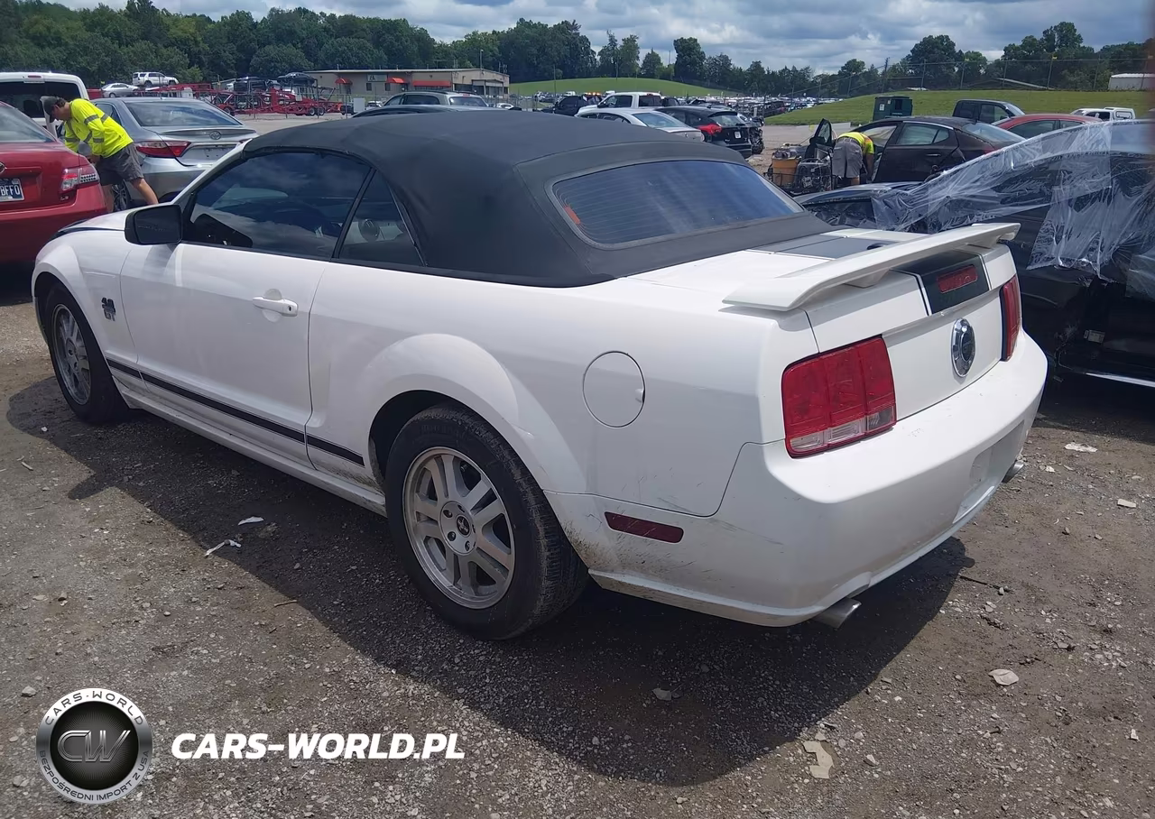 2008 Ford Mustang Gt Premium VIN:1ZVHT85H185117248 - 3