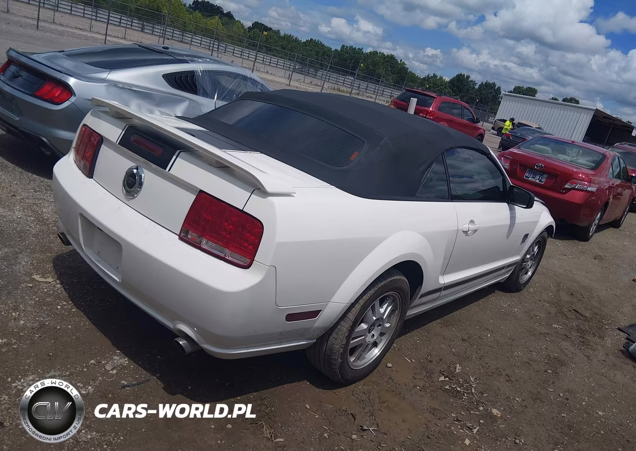2008 Ford Mustang Gt Premium VIN:1ZVHT85H185117248 - 4