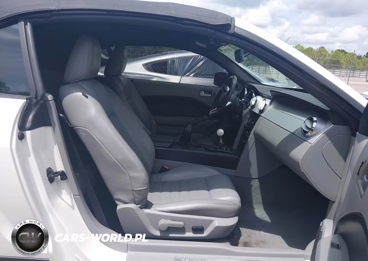 2008 Ford Mustang Gt Premium VIN:1ZVHT85H185117248 - 5