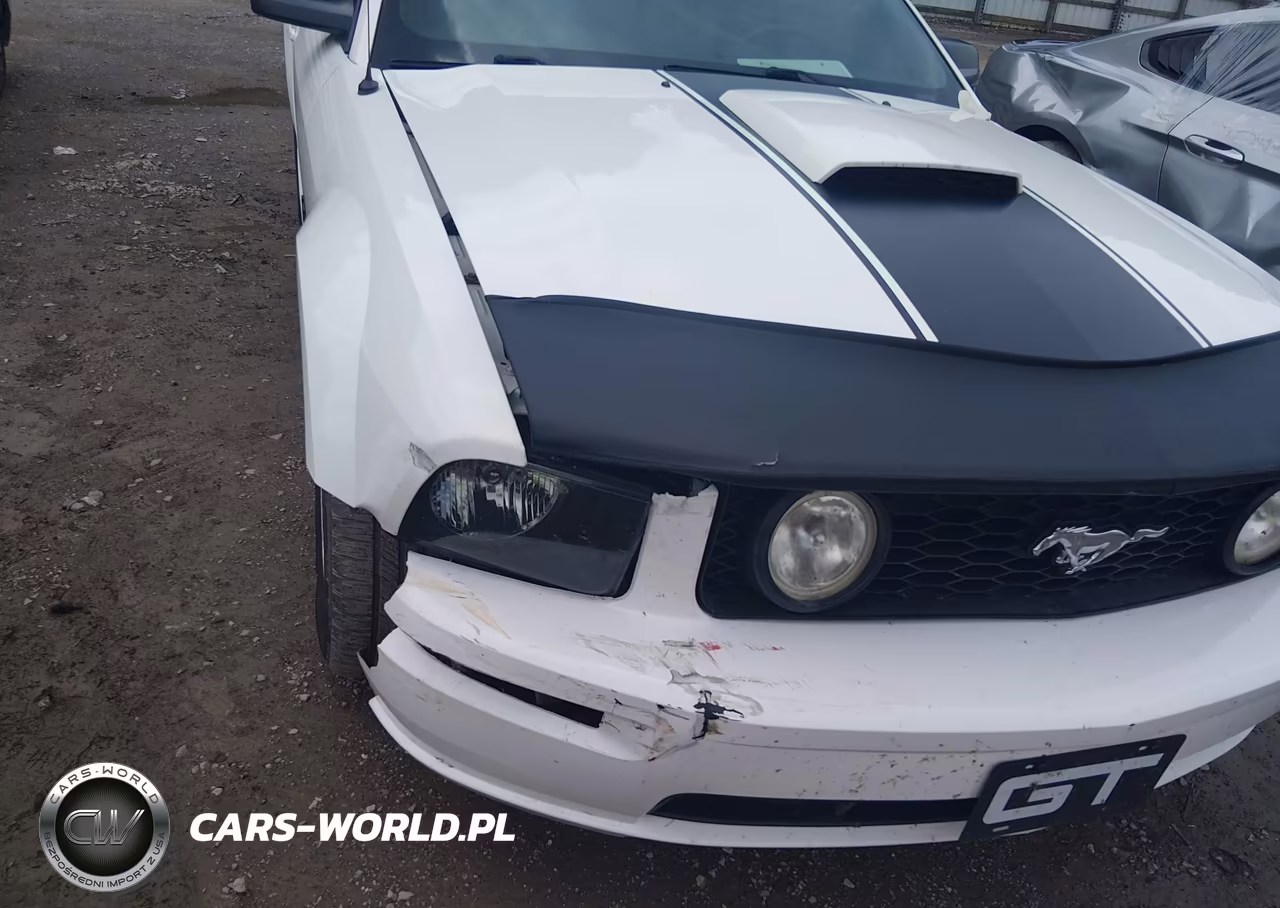 2008 Ford Mustang Gt Premium VIN:1ZVHT85H185117248 - 6