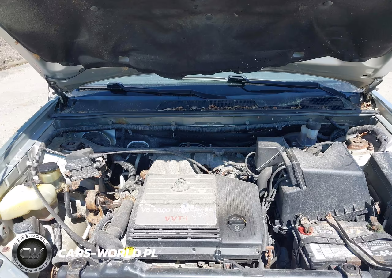 2003 Toyota Highlander V6 VIN:JTEGF21A130121653 - 10