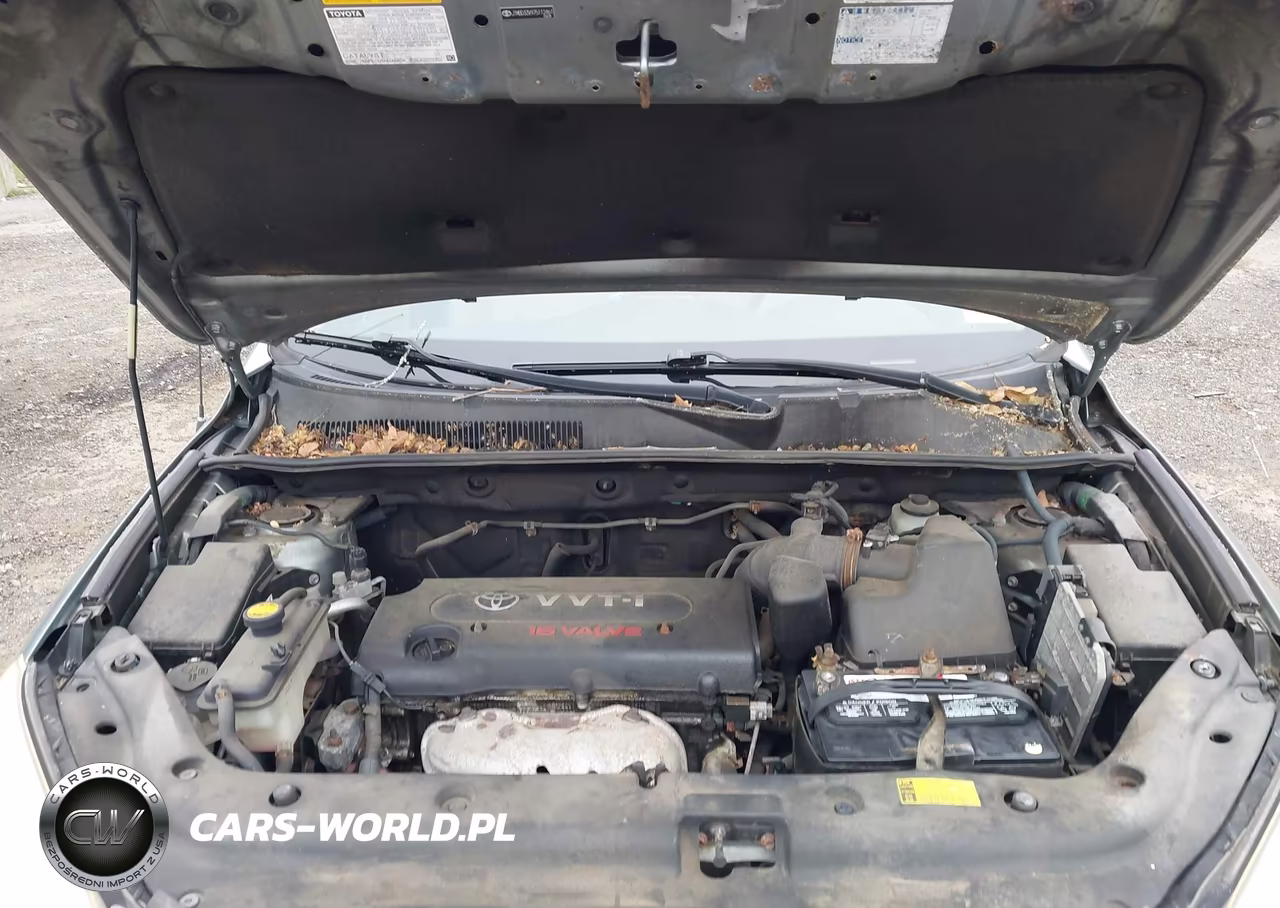 2007 Toyota Rav4 VIN:JTMBD33V975112461 - 10