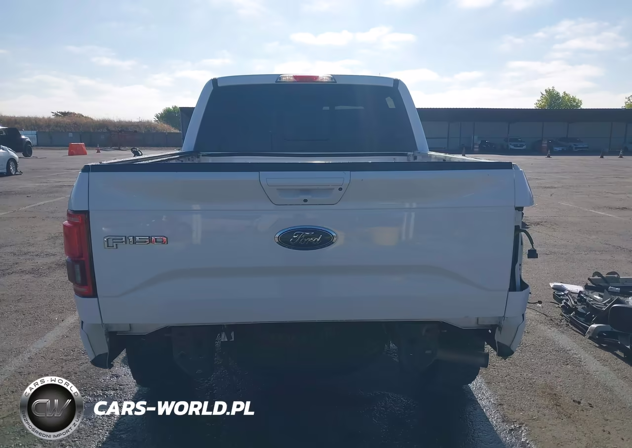 2015 Ford F-150 King Ranch-Lariat-Platinum-Xl-Xlt VIN:1FTEW1EG5FKE09947 - 16