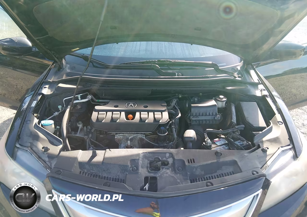 2013 Acura Ilx 2.0L VIN:19VDE1F50DE020539 - 10