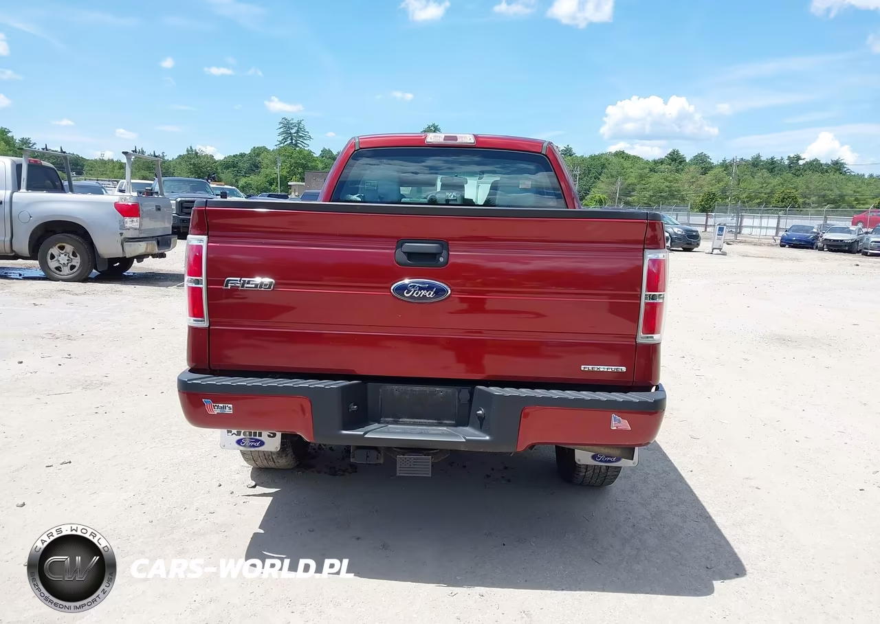 2014 Ford F-150 Stx VIN:1FTEX1EM4EKF71019 - 16