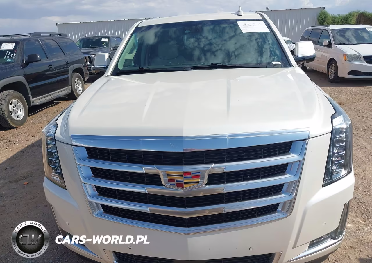 2015 Cadillac Escalade Premium VIN:1GYS3NKJ3FR611688 - 12