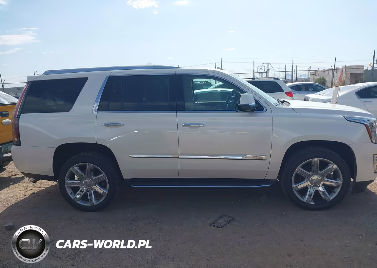 2015 Cadillac Escalade Premium VIN:1GYS3NKJ3FR611688 - 13