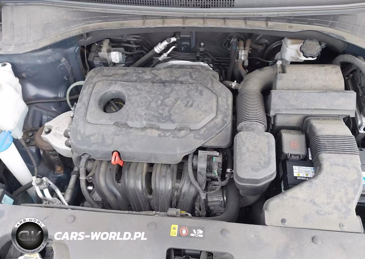 2019 Kia Sorento 2.4L Lx VIN:5XYPGDA39KG498268 - 10