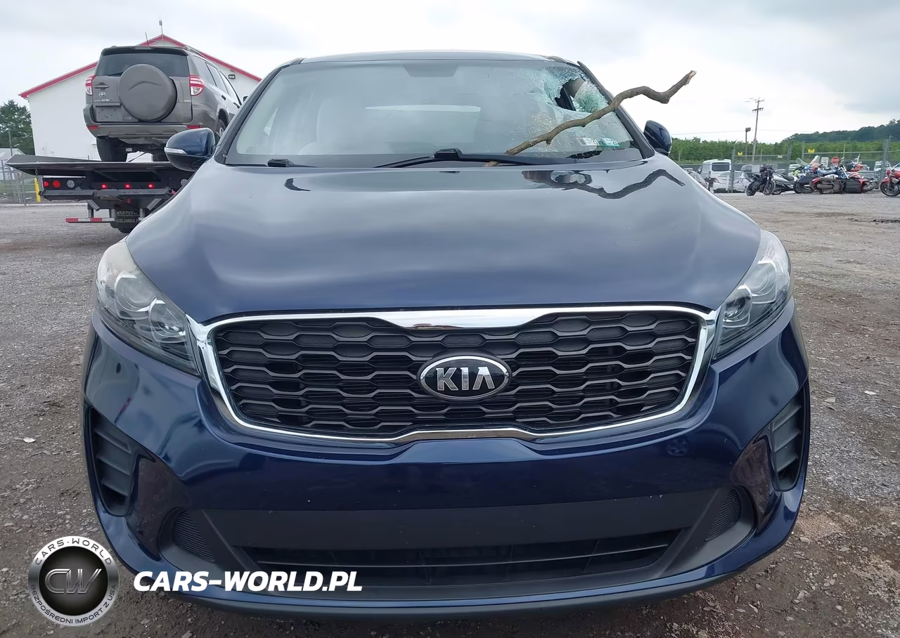2019 Kia Sorento 2.4L Lx VIN:5XYPGDA39KG498268 - 12