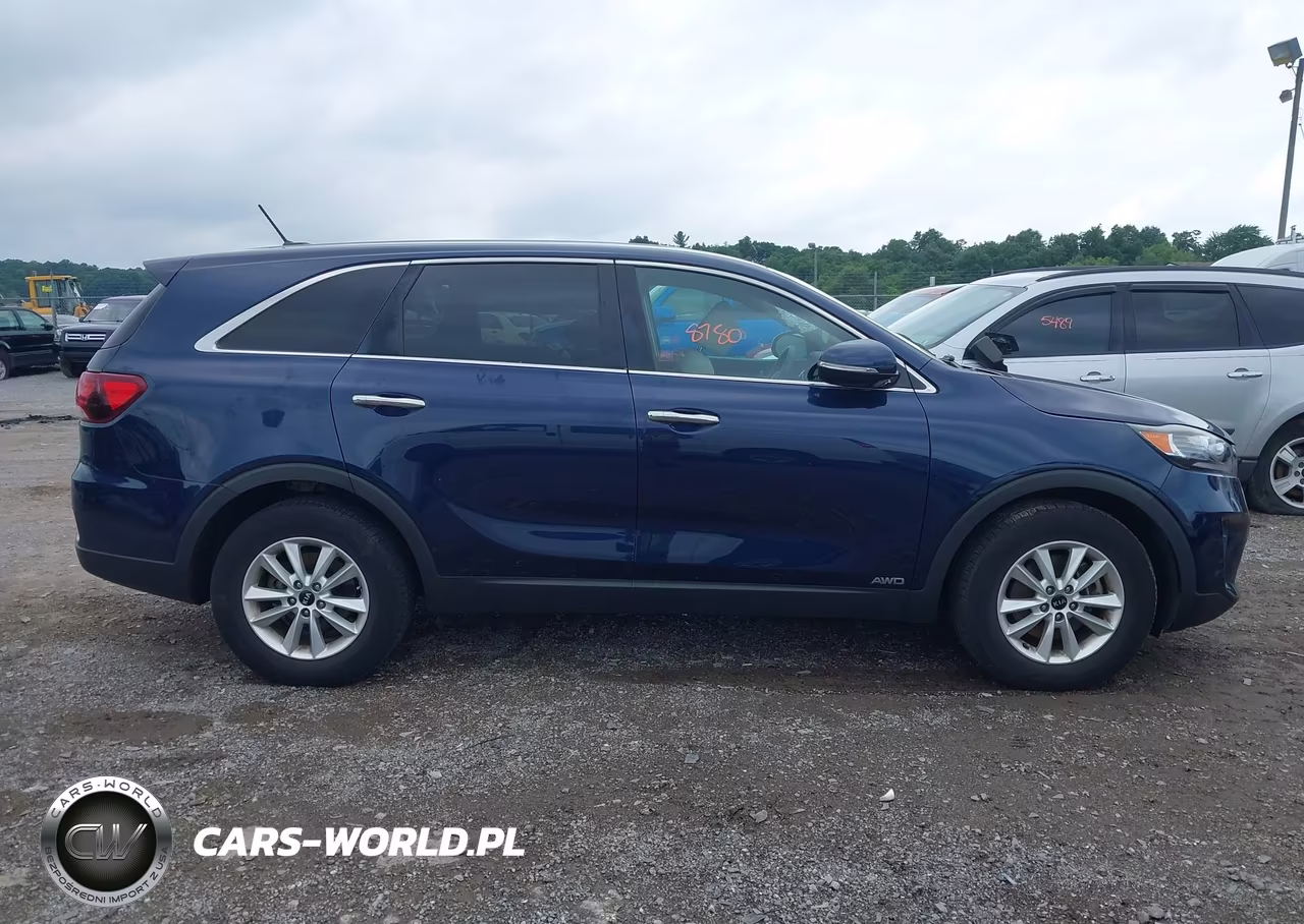 2019 Kia Sorento 2.4L Lx VIN:5XYPGDA39KG498268 - 13