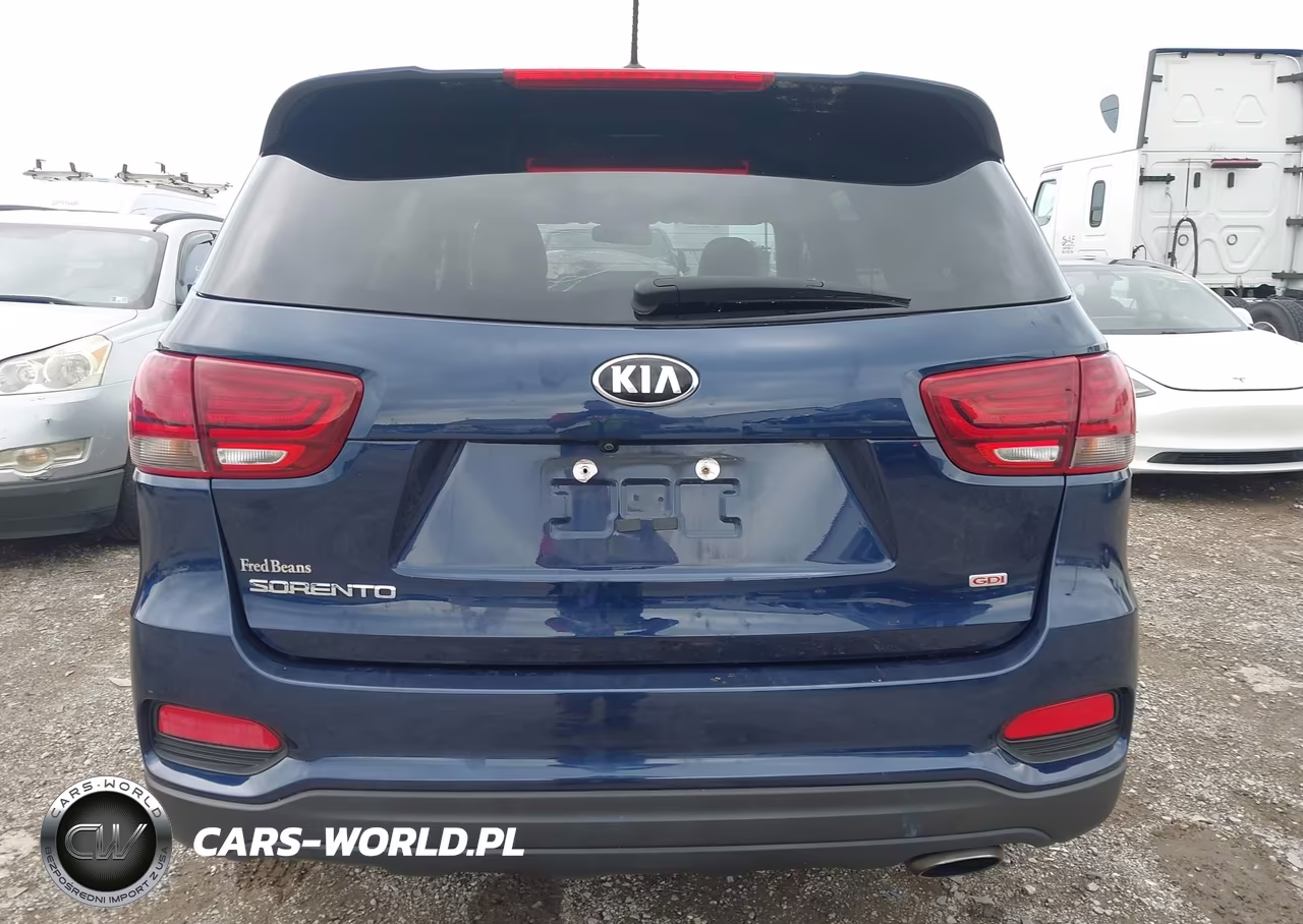 2019 Kia Sorento 2.4L Lx VIN:5XYPGDA39KG498268 - 16