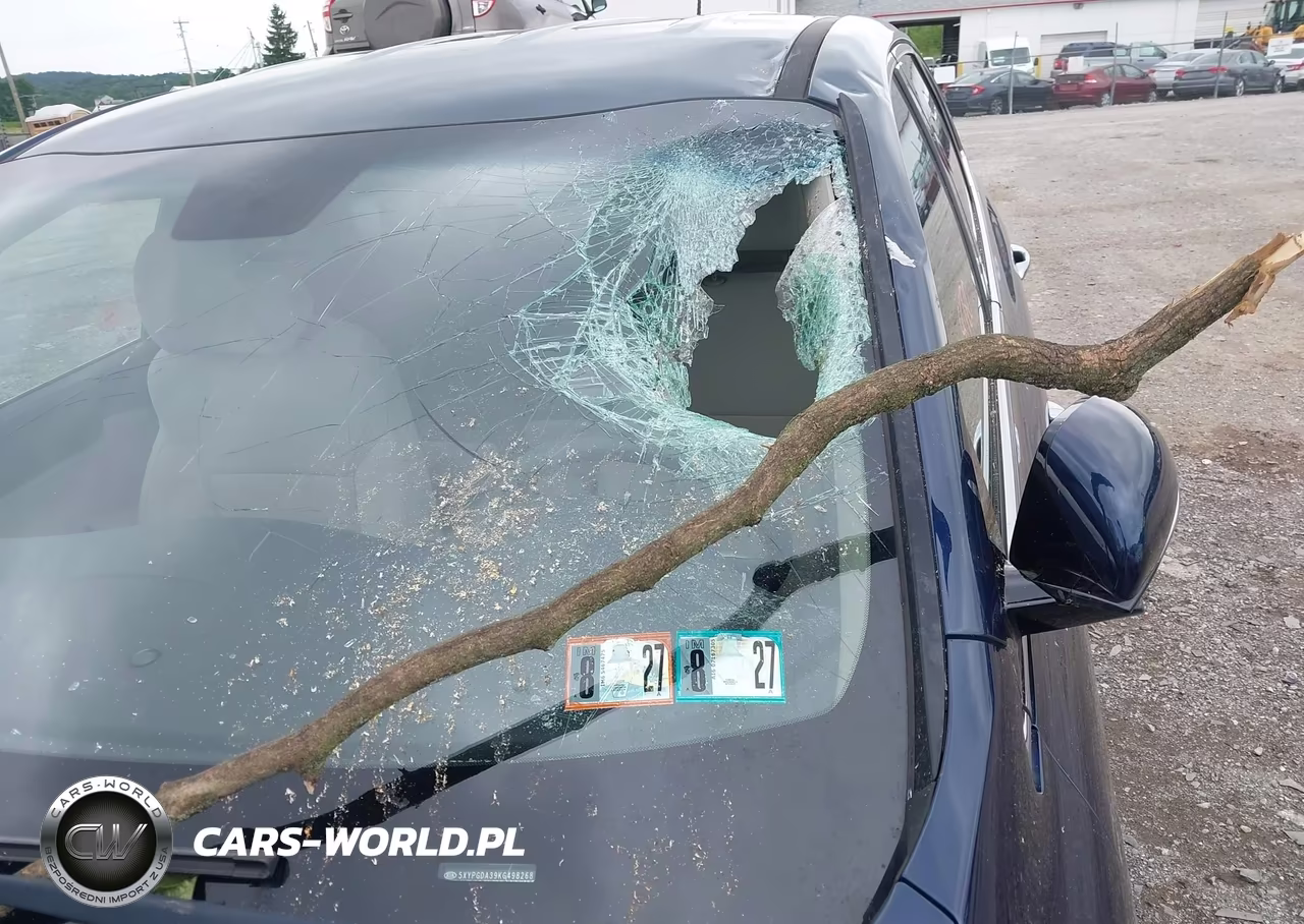 2019 Kia Sorento 2.4L Lx VIN:5XYPGDA39KG498268 - 6