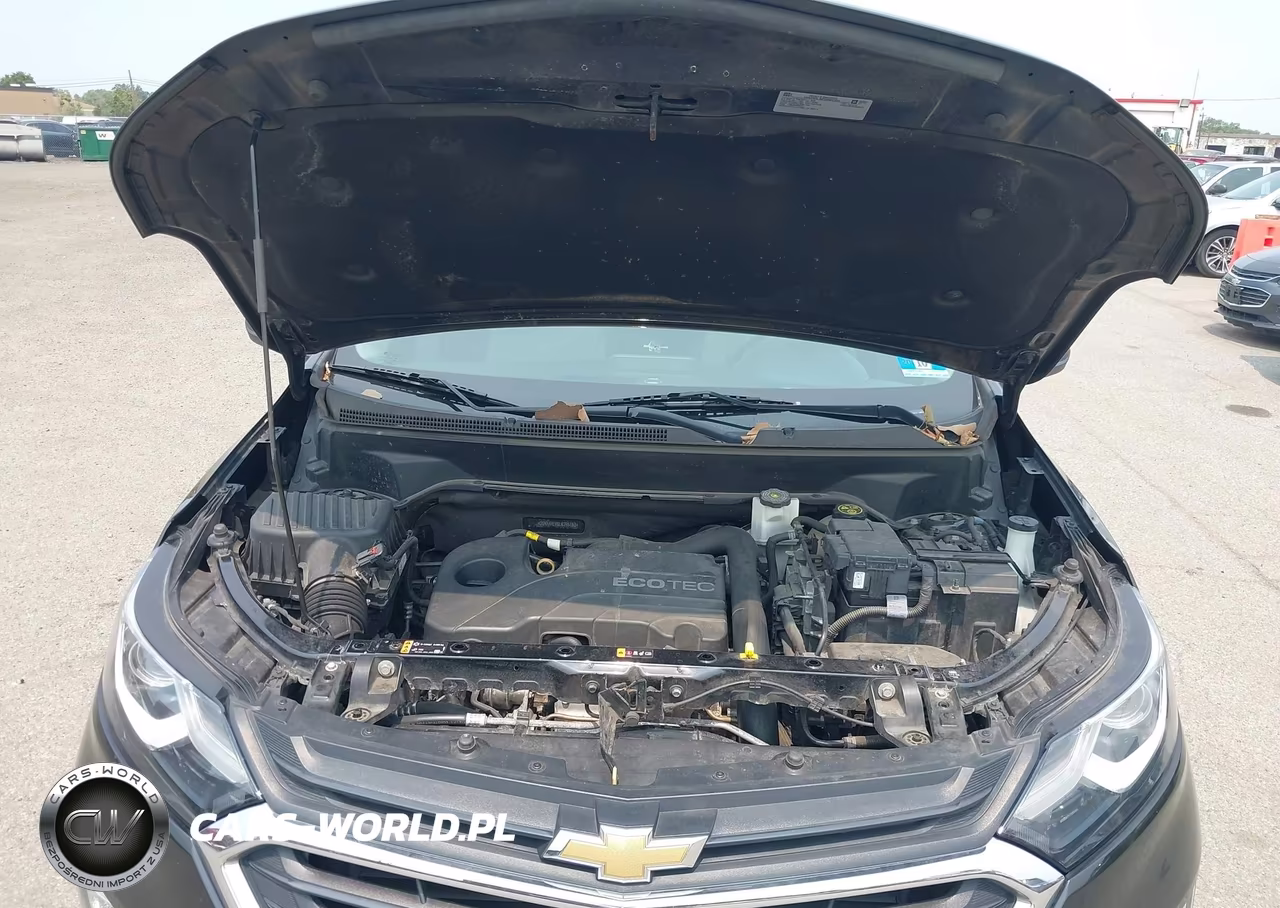 2020 Chevrolet Equinox Fwd Ls VIN:2GNAXHEV6L6285163 - 10