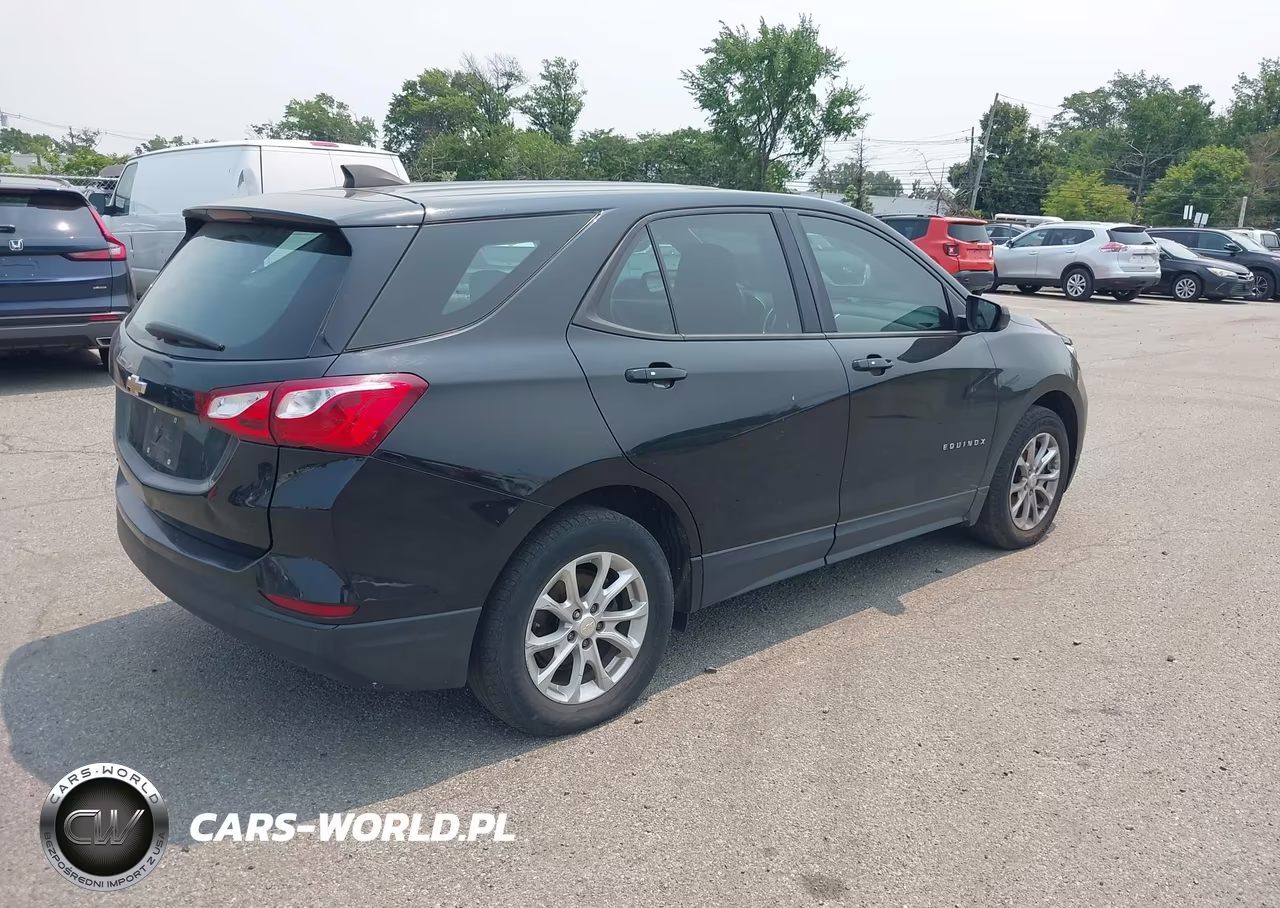 2020 Chevrolet Equinox Fwd Ls VIN:2GNAXHEV6L6285163 - 4