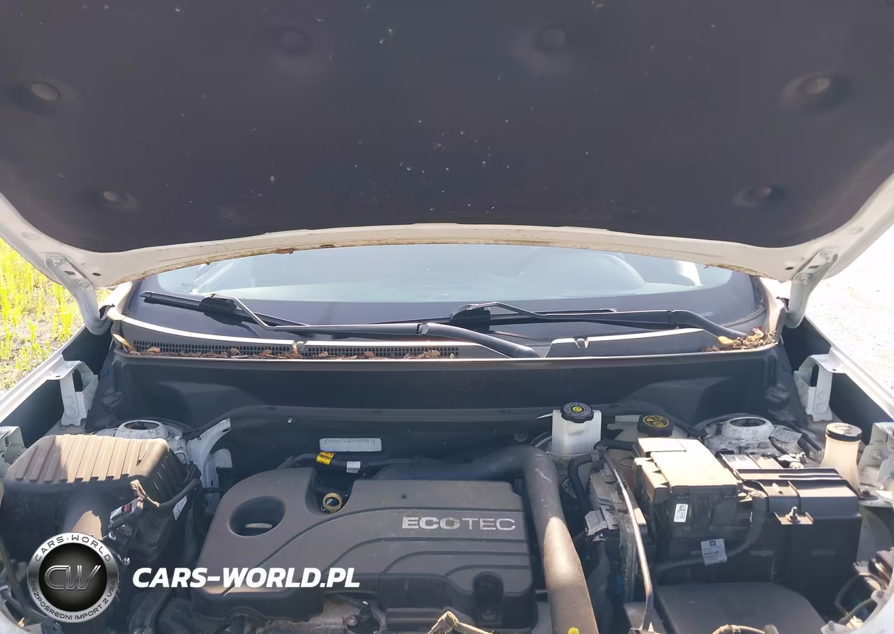 2019 Chevrolet Equinox Lt VIN:3GNAXJEV1KS650548 - 10