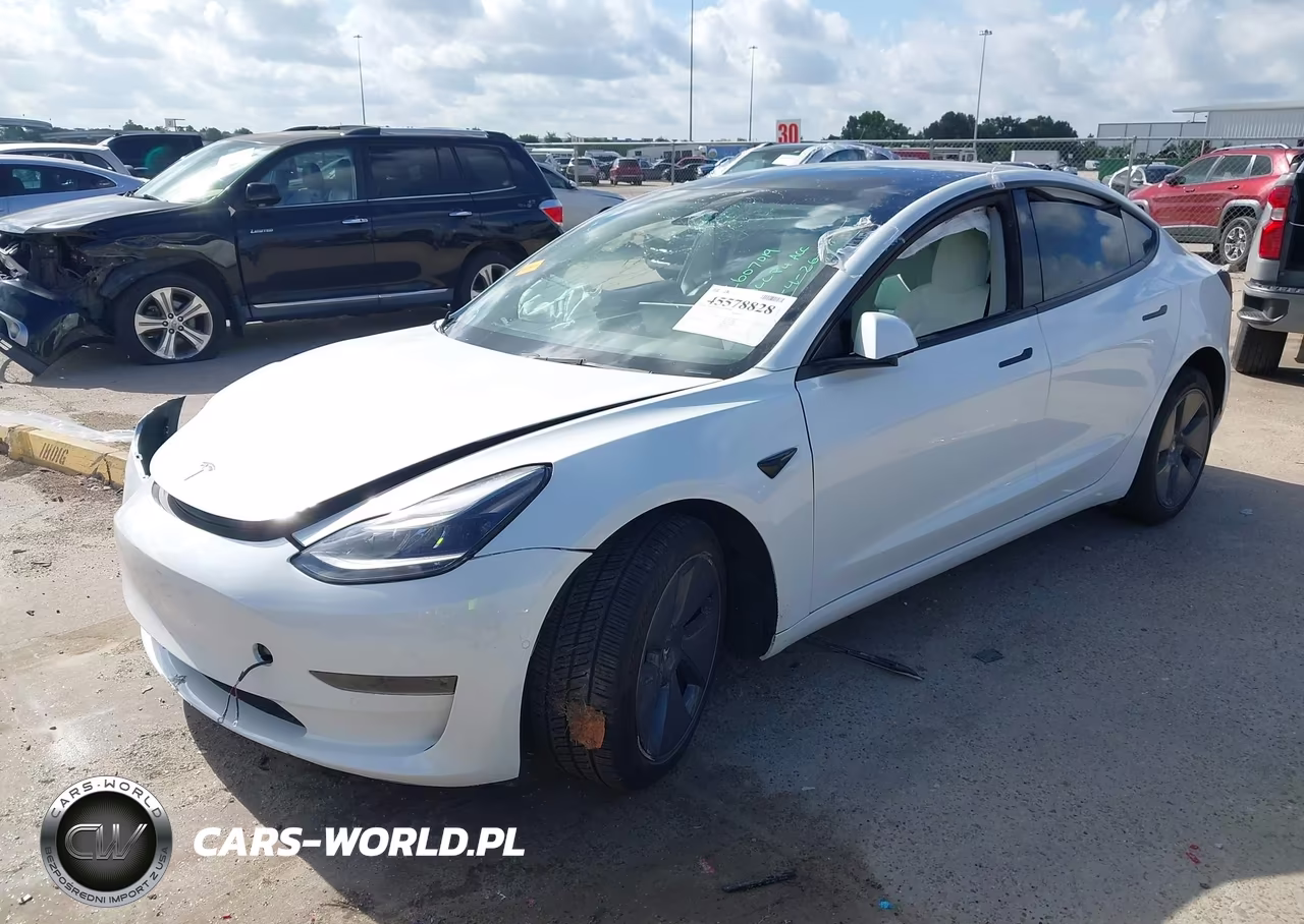 2022 Tesla Model 3 Rear-Wheel Drive VIN:5YJ3E1EA2NF355119 - 2