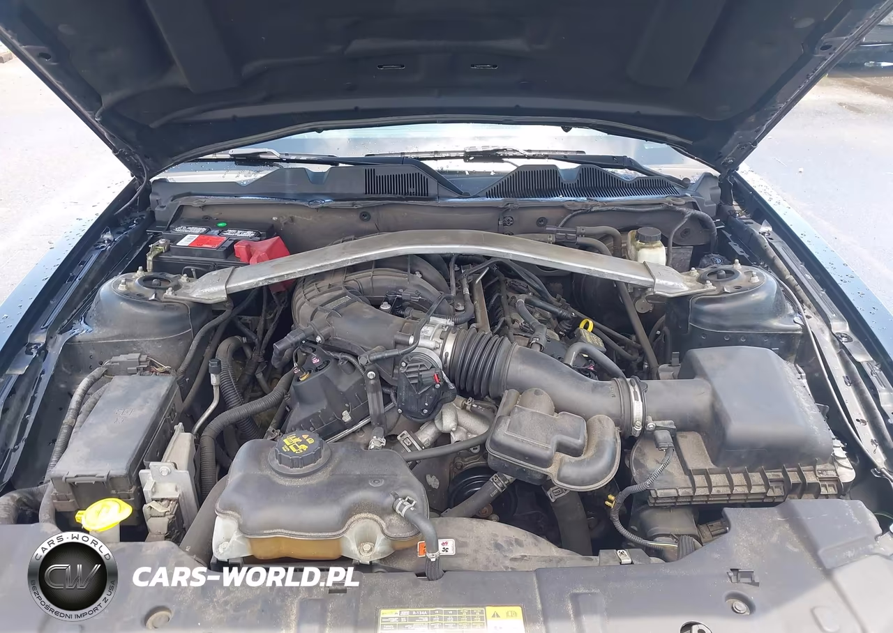 2014 Ford Mustang V6 VIN:1ZVBP8EM5E5222216 - 10