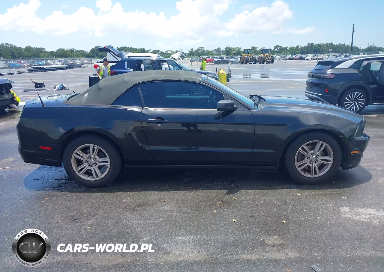 2014 Ford Mustang V6 VIN:1ZVBP8EM5E5222216 - 13