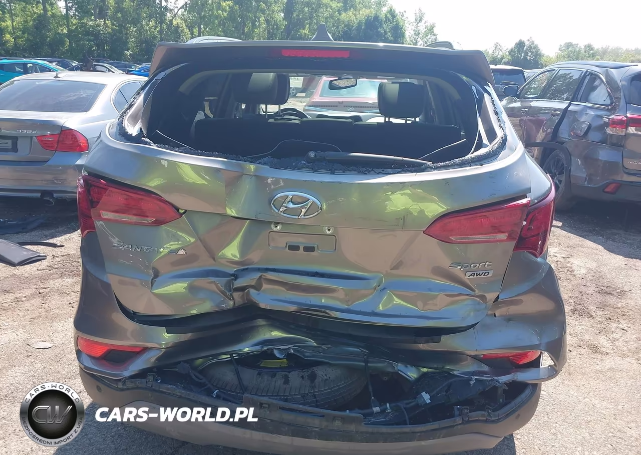 2018 Hyundai Santa Fe Sport 2.4L VIN:5XYZUDLBXJG561110 - 6