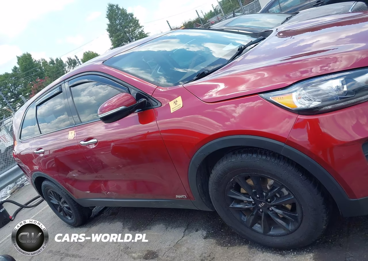 2020 Kia Sorento 3.3L Lx VIN:5XYPGDA58LG611842 - 13