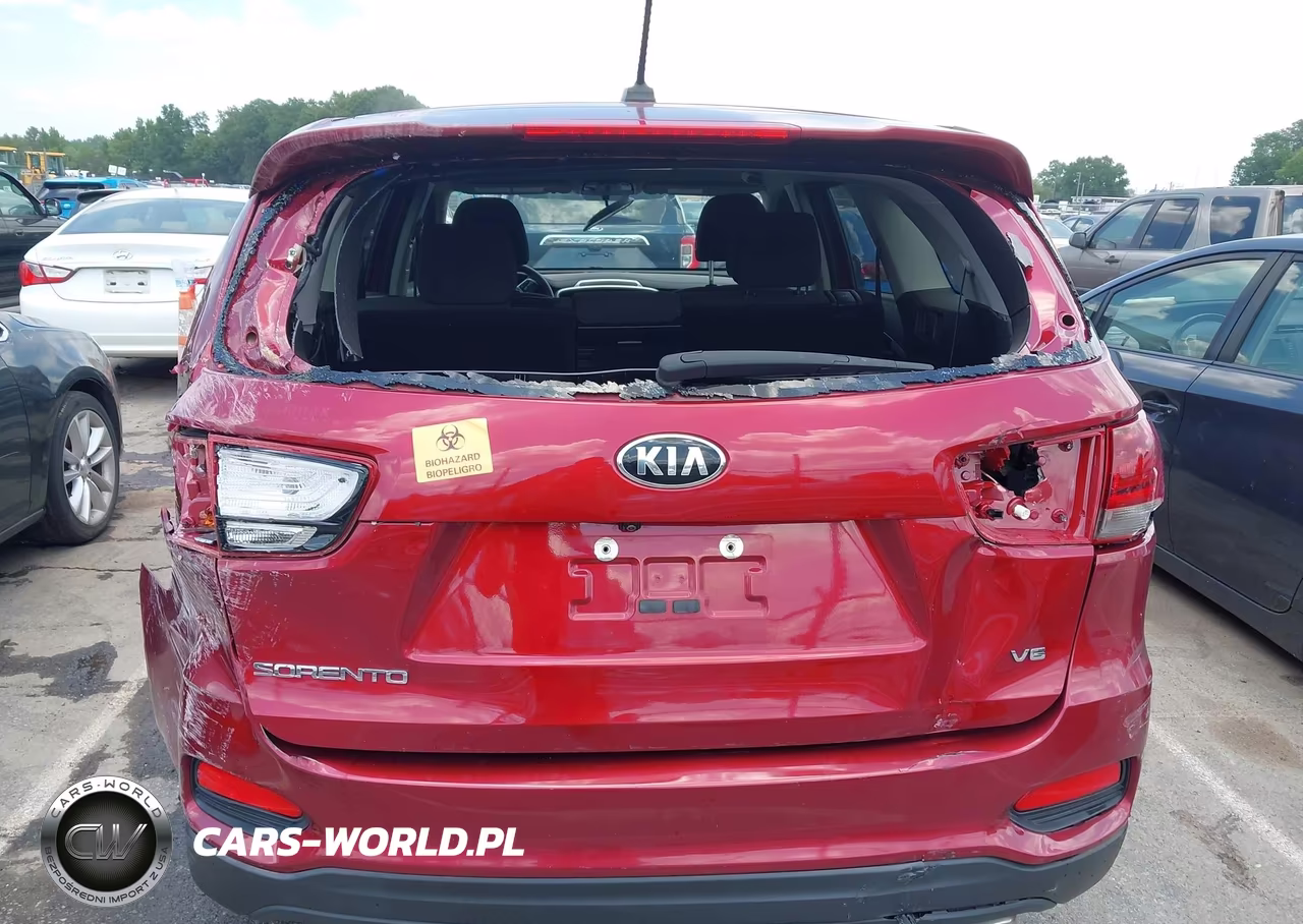 2020 Kia Sorento 3.3L Lx VIN:5XYPGDA58LG611842 - 16
