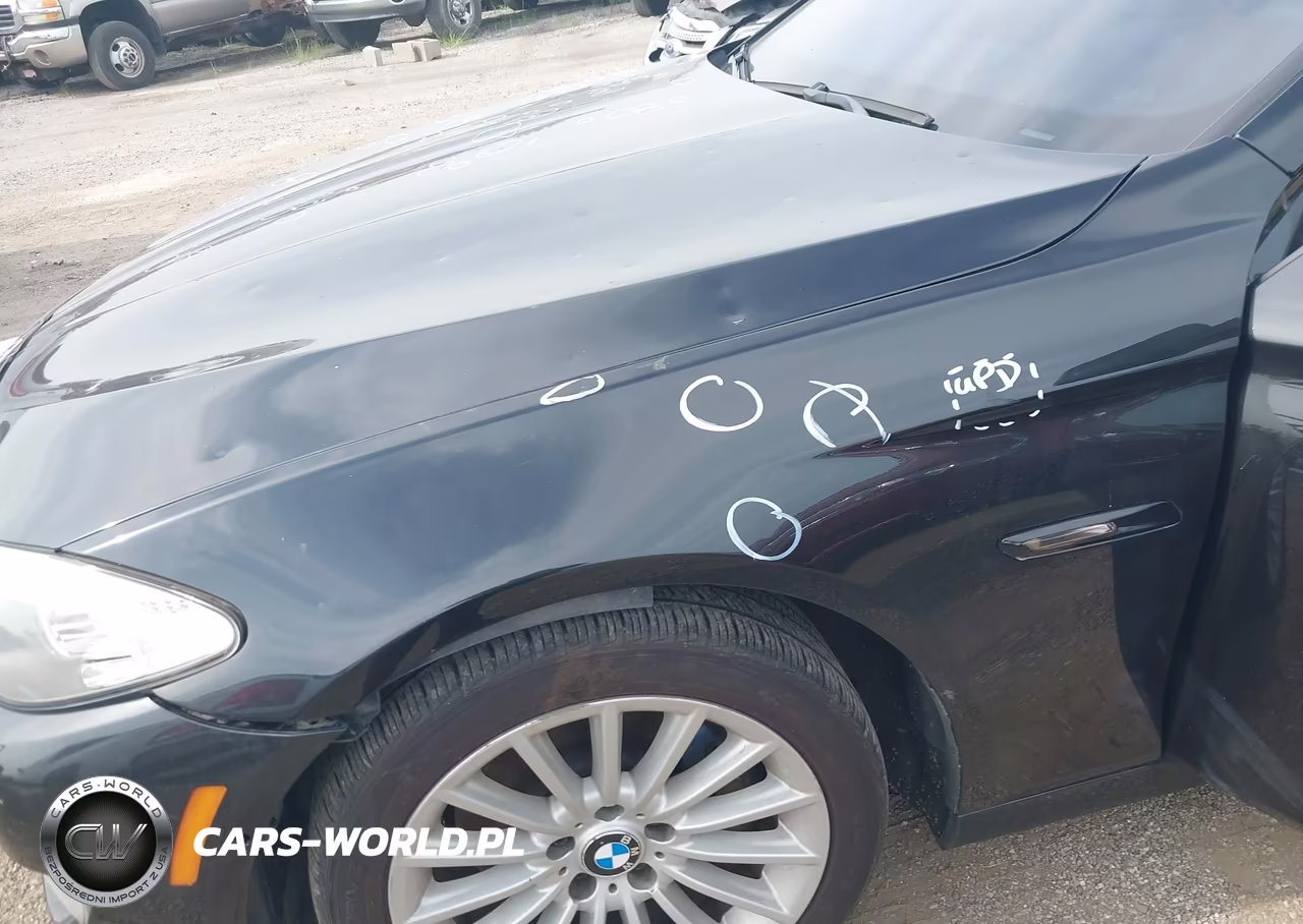 2013 BMW 535I xDrive VIN:WBAFU7C50DDU76243 - 19
