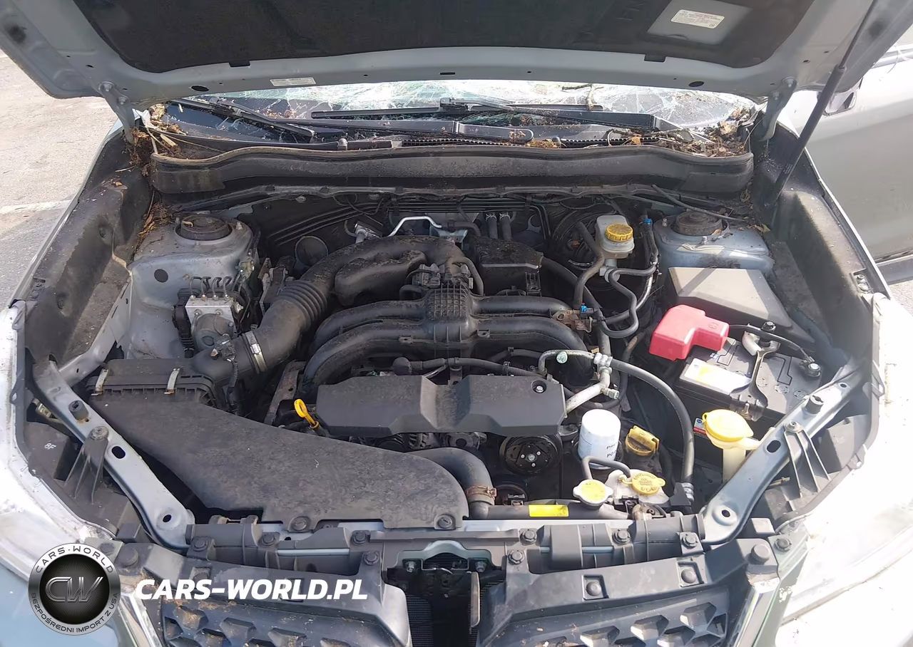 2015 Subaru Forester 2.5I VIN:JF2SJABC7FH484098 - 10