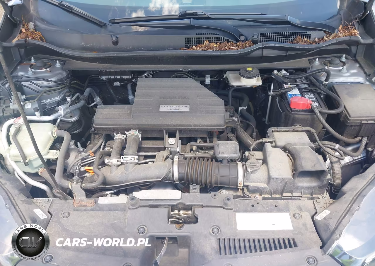 2019 Honda Cr-V Ex VIN:7FARW2H56KE049620 - 10