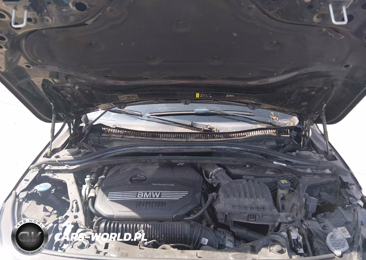 2021 BMW 228I Gran Coupe xDrive VIN:WBA73AK02M7H58816 - 9