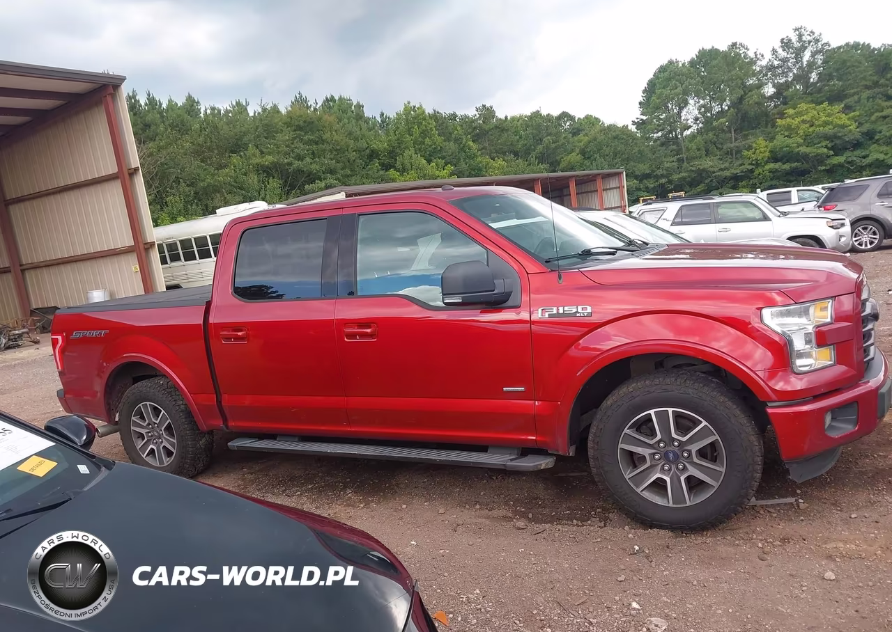 2016 Ford F-150 Lariat-Xl-Xlt VIN:1FTEW1CP1GFC78755 - 13