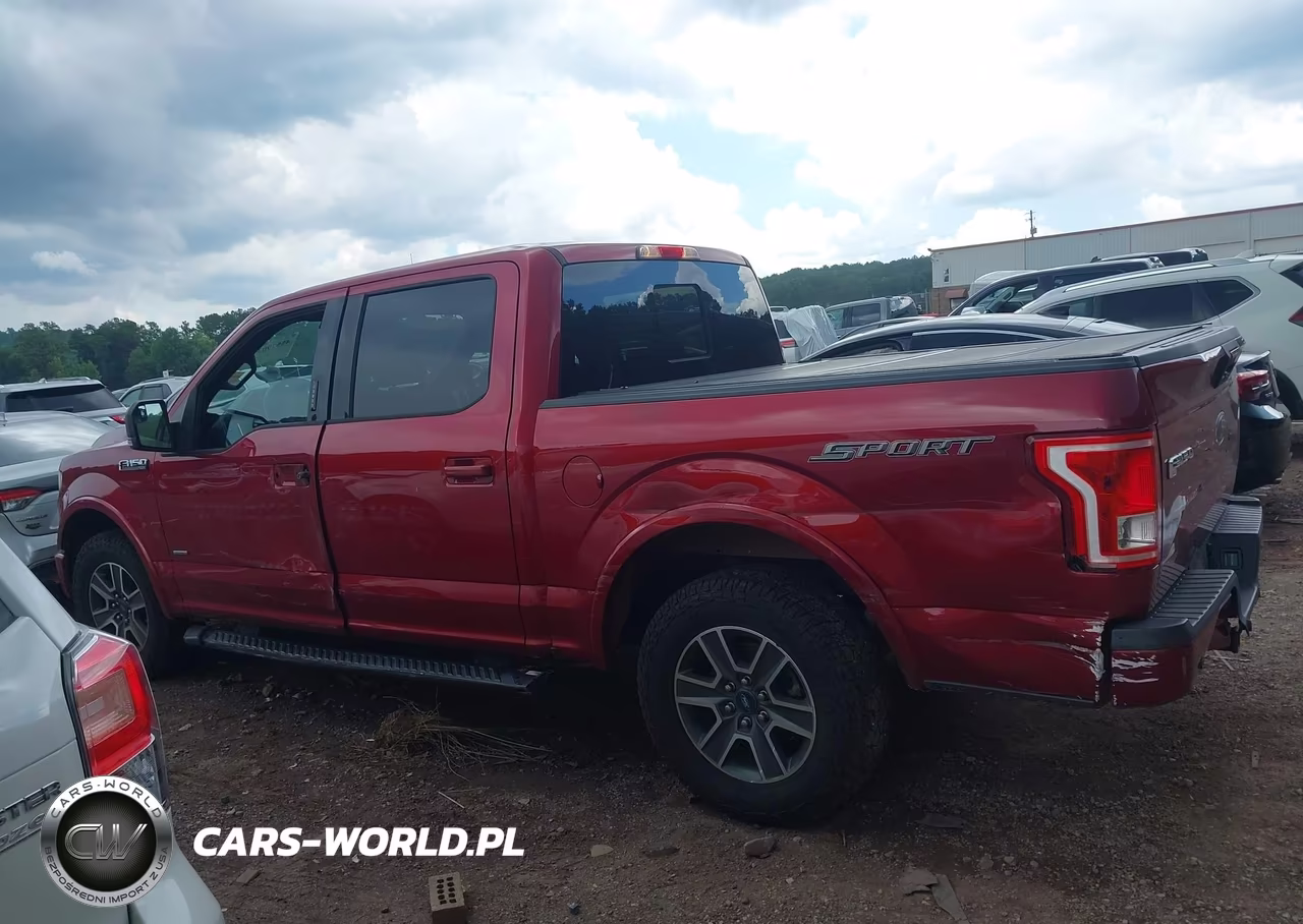 2016 Ford F-150 Lariat-Xl-Xlt VIN:1FTEW1CP1GFC78755 - 14