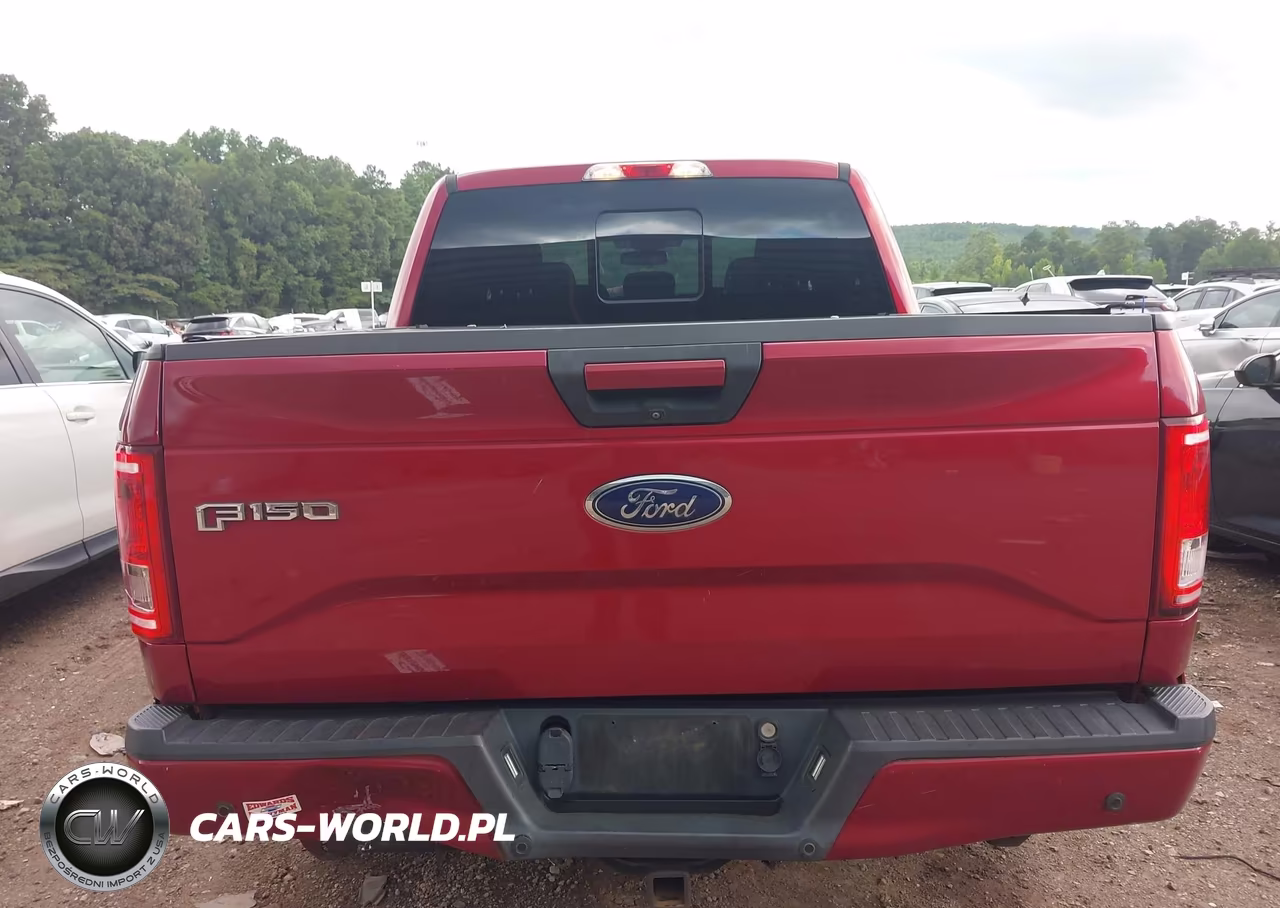 2016 Ford F-150 Lariat-Xl-Xlt VIN:1FTEW1CP1GFC78755 - 16