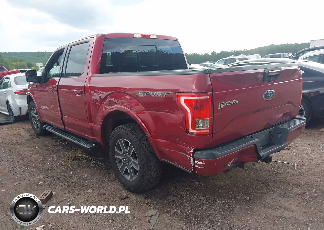 2016 Ford F-150 Lariat-Xl-Xlt VIN:1FTEW1CP1GFC78755 - 3