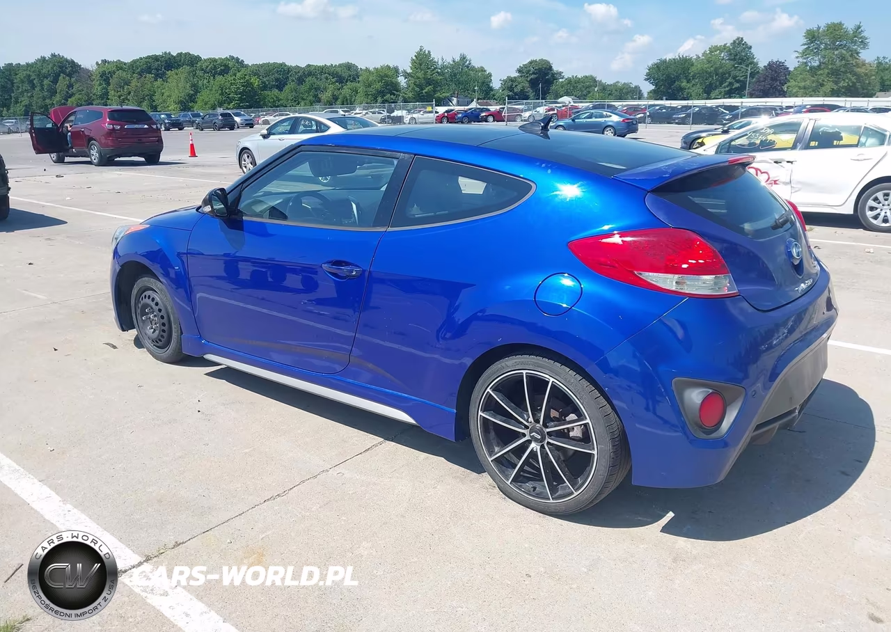 2013 Hyundai Veloster Turbo W-Black VIN:KMHTC6AE1DU111202 - 3
