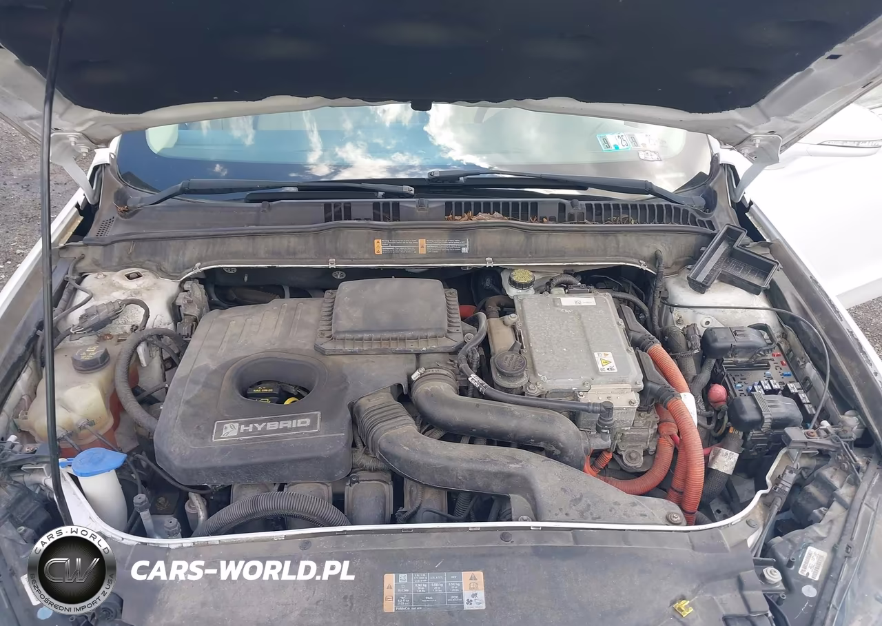 2013 Ford Fusion Hybrid Se VIN:3FA6P0LU9DR204568 - 10