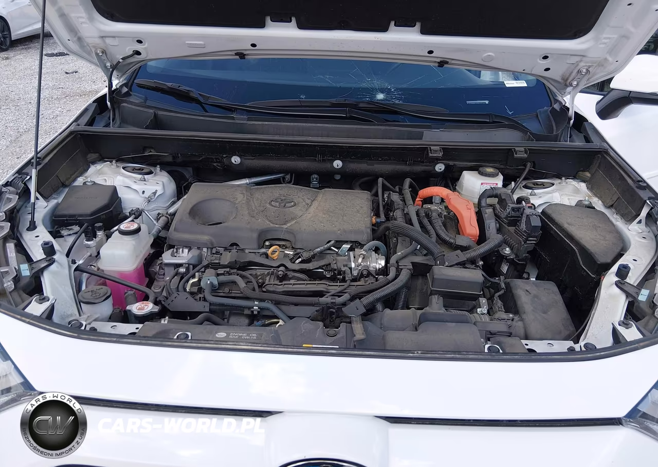2024 Toyota Rav4 Hybrid Xle VIN:2T3RWRFV9RW207461 - 10