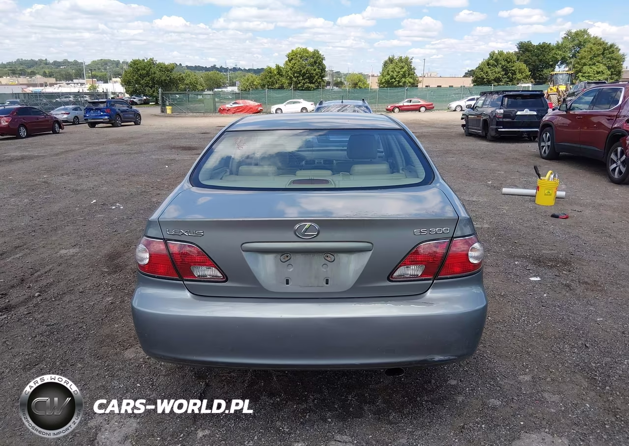 2003 Lexus Es 300 VIN:JTHBF30G336016294 - 17