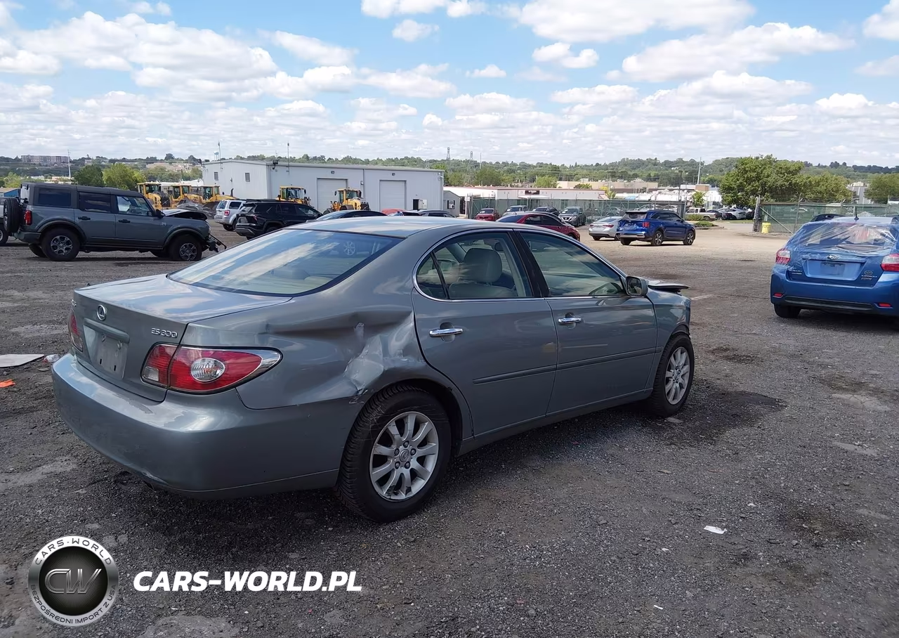 2003 Lexus Es 300 VIN:JTHBF30G336016294 - 4