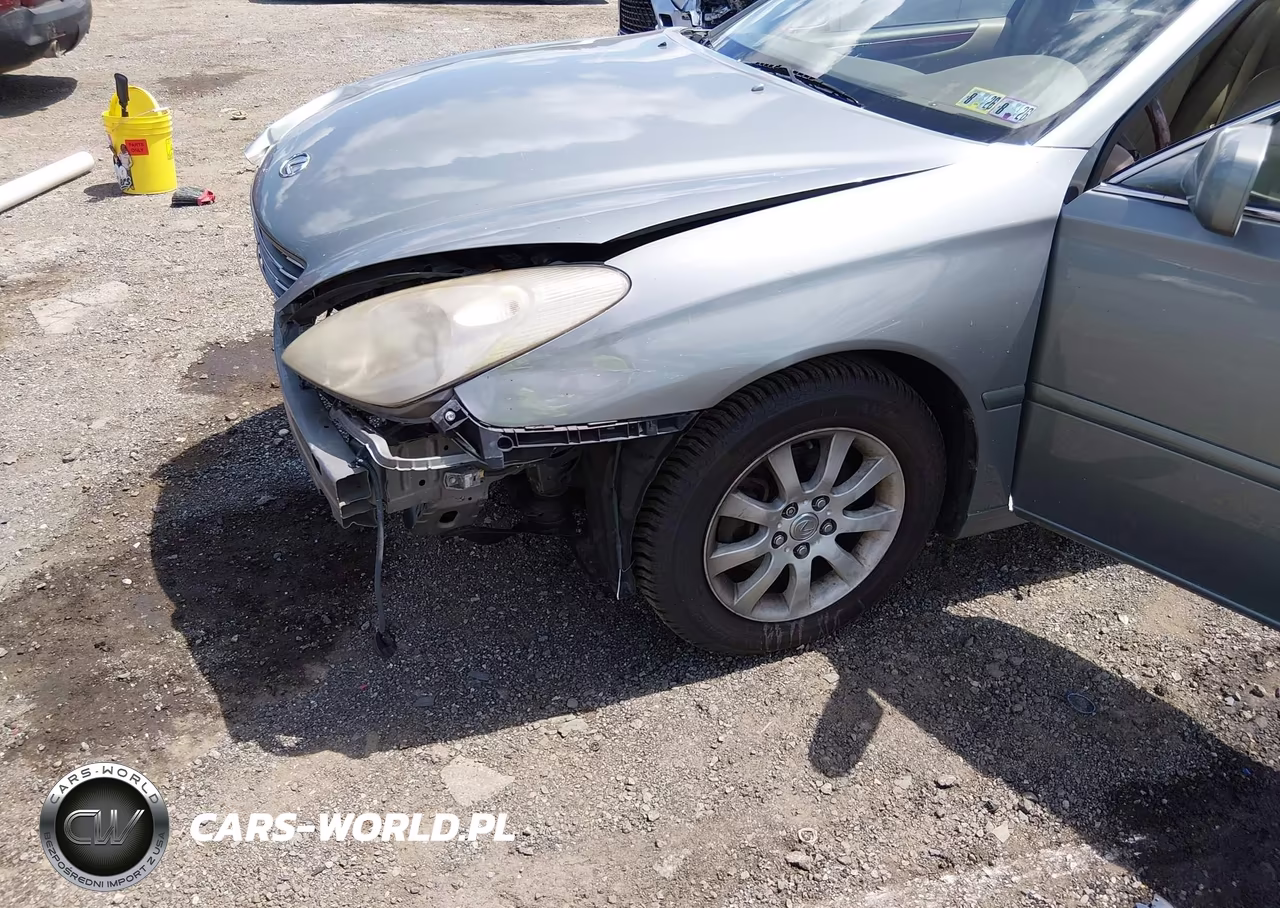 2003 Lexus Es 300 VIN:JTHBF30G336016294 - 6