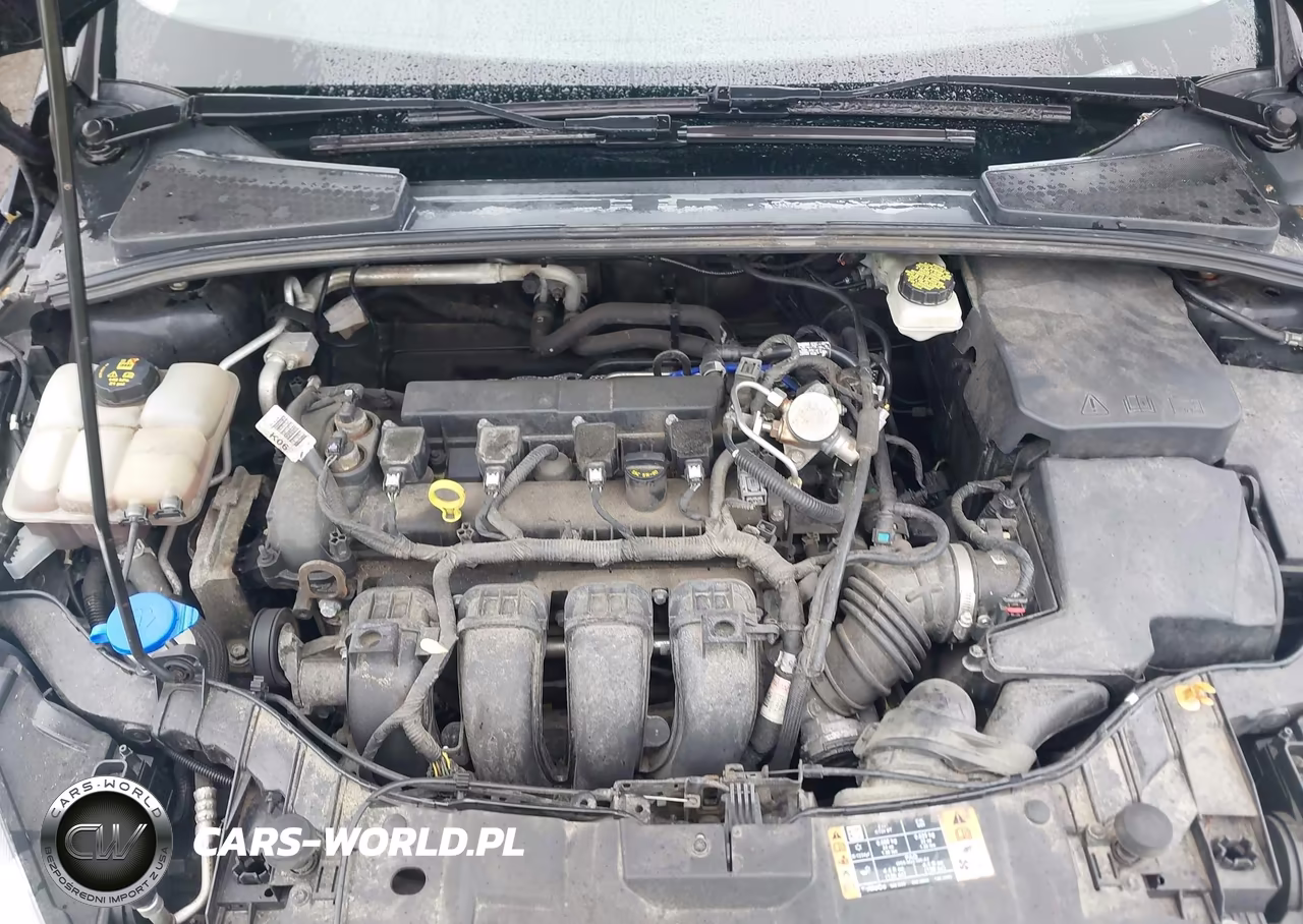 2017 Ford Focus Se VIN:1FADP3F28HL247449 - 10