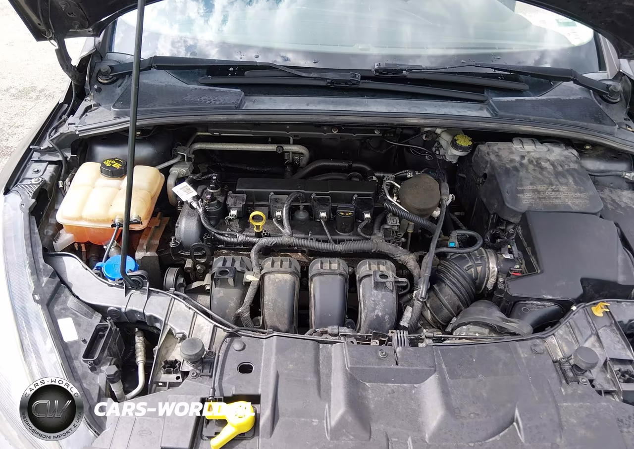 2016 Ford Focus Se VIN:1FADP3K26GL225938 - 10